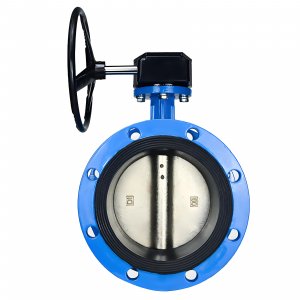 法蘭式蝸輪蝸桿蝶閥DN40，1.6Mpa（橡膠密封
